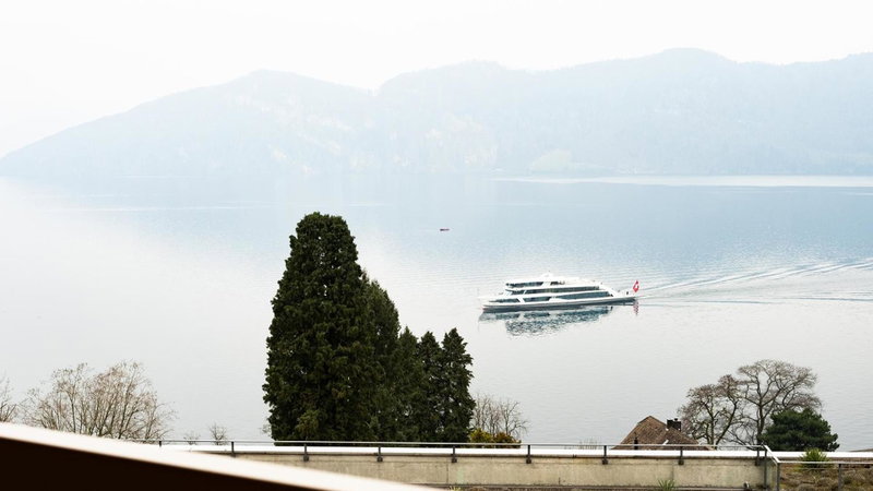 Alpenblick Weggis - Panorama & Alpen Chic Hotel, Luzern, Switzerland
