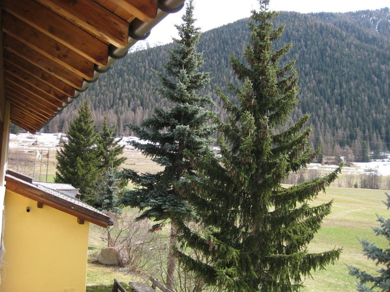 Hotel Pizzeria Selva, Zernez, Switzerland