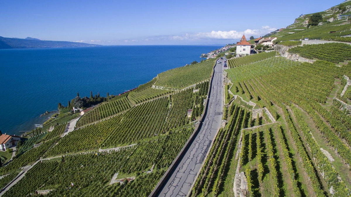 Domaine du Burignon, Швейцария