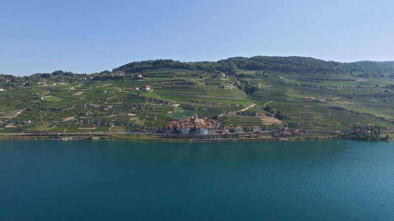 Domaine du Burignon, Vevey, Schweiz