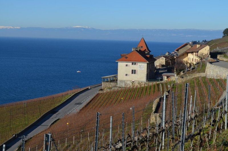 Domaine du Burignon, Vevey, Schweiz