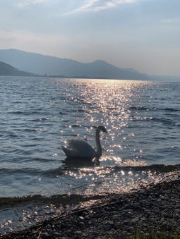 Strandhotel Schmerikon, Jona, Швейцария