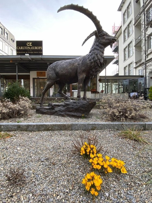 Carlton-Europe Vintage Adults Hotel, Thun, Switzerland