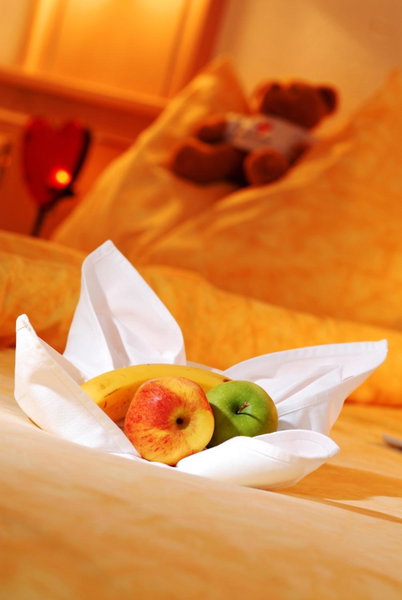 Hotel Bristol, Saas-Fee, Switzerland