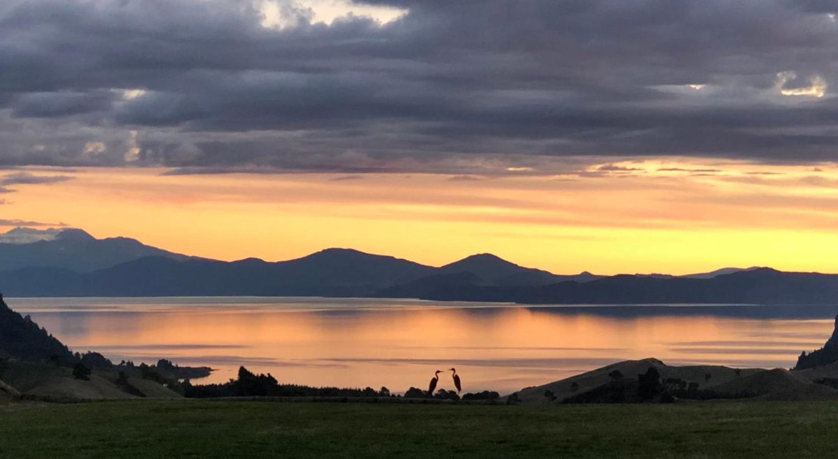 Hotel · Hilltop Whakaipo Estate, Taupo
