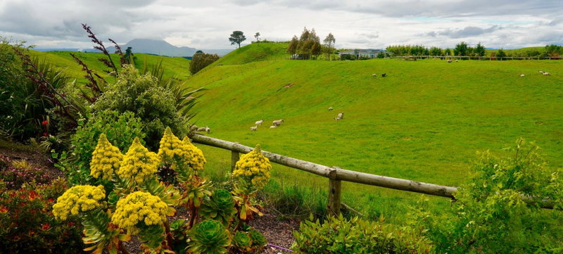 Hilltop Whakaipo Estate, Taupo, Новая Зеландия