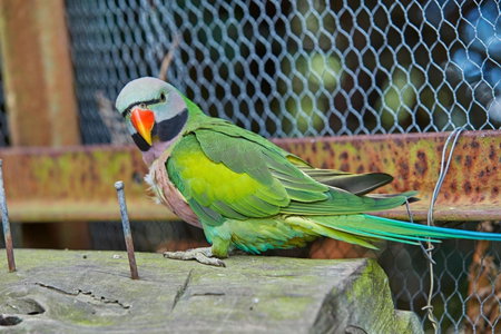 Kaikoura, Cubby House Stay, Kaikoura, New Zealand