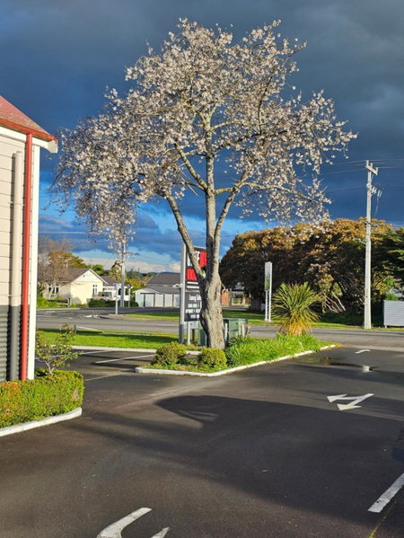 Gateway Motor Inn, Masterton, New Zealand