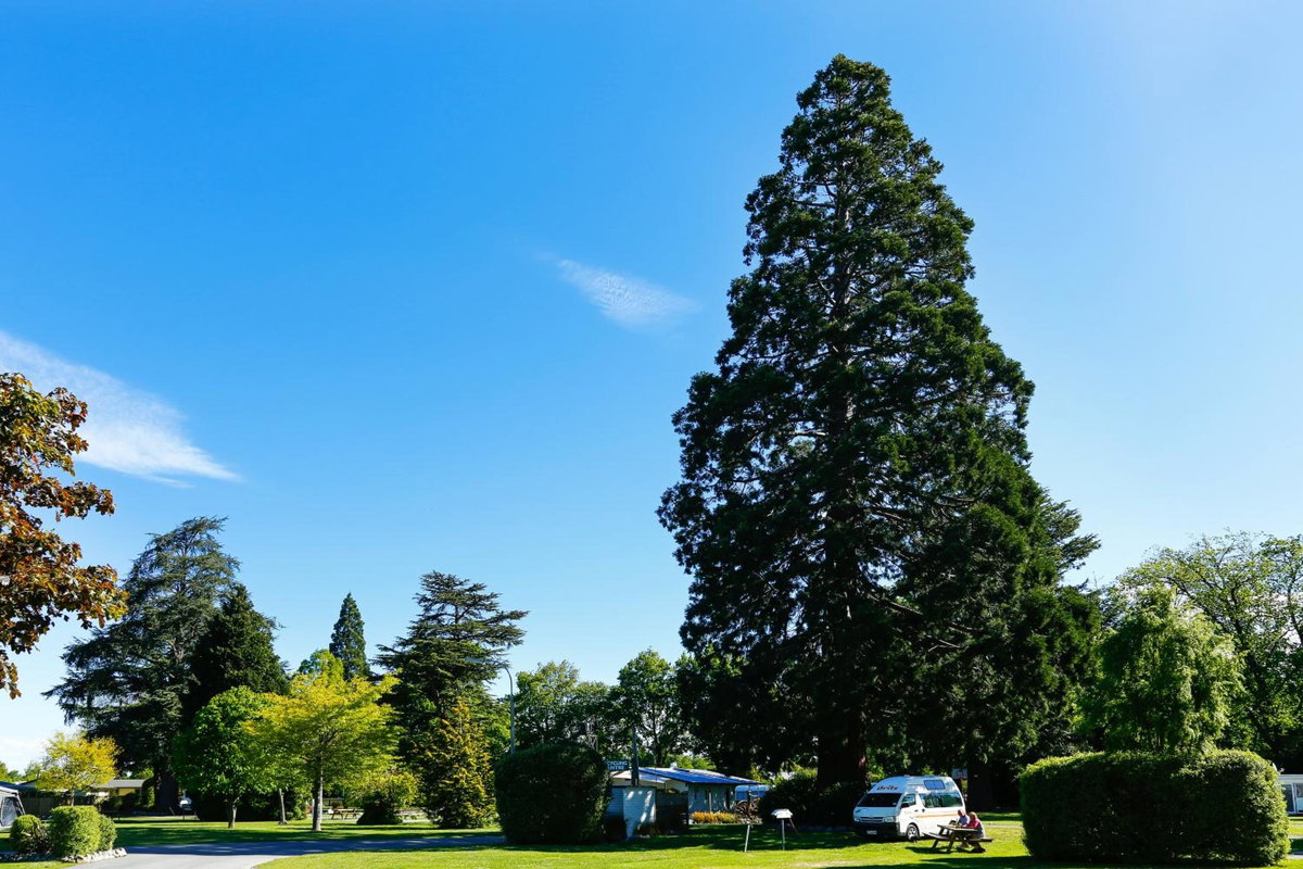 Geraldine TOP 10 Holiday Park, New Zealand