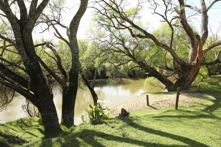 Somersal Bed & Breakfast, Pirongia, New Zealand