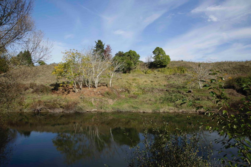 Somersal Bed & Breakfast, Pirongia, New Zealand