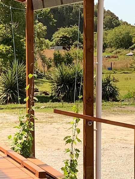 Woodstock Hotel, Hokitika, New Zealand