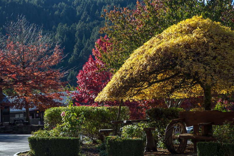 Pinewood Queenstown, Queenstown, New Zealand