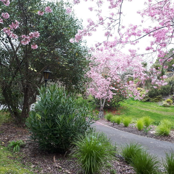 māra, Richmond, New Zealand
