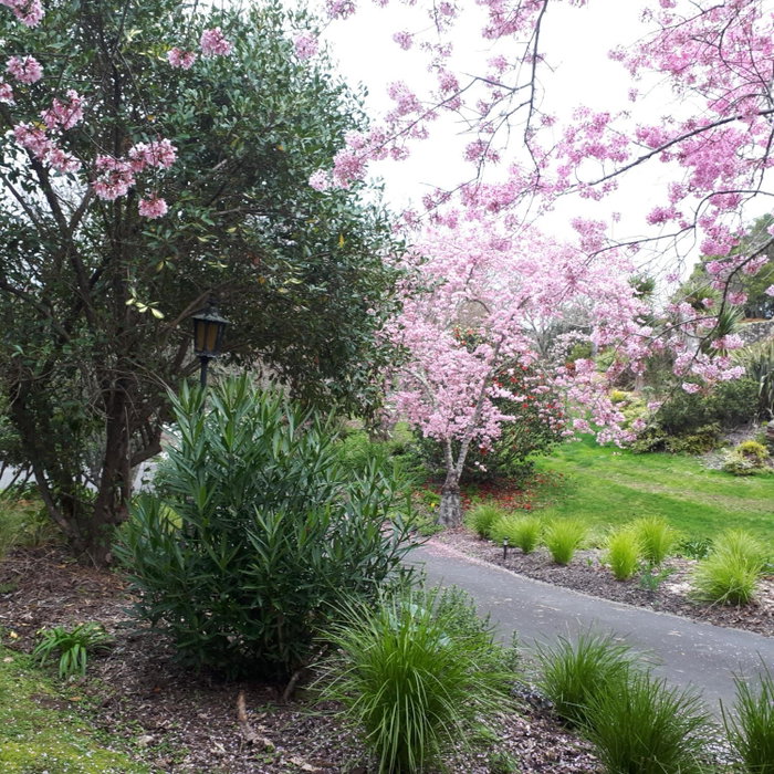 māra, Richmond, New Zealand