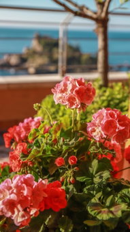 Taormina Panoramic Hotel, Giarre, Italy