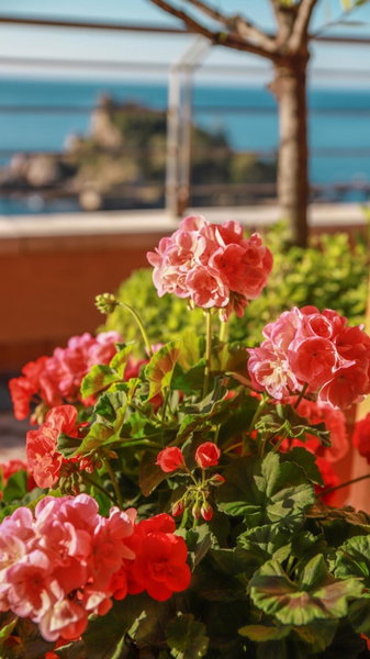 Taormina Panoramic Hotel, Giarre, Italy