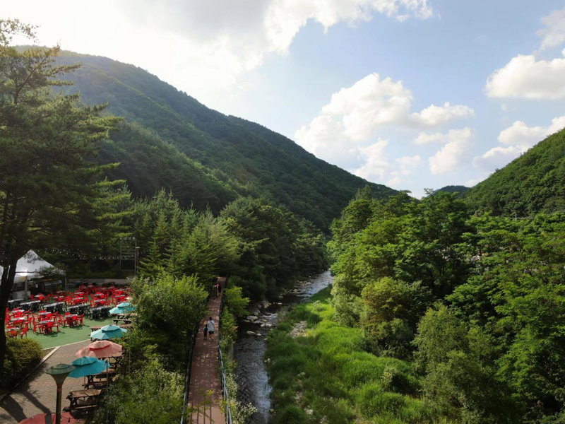 Jeongseon Mayhills Resort, T'aebaek, South Korea
