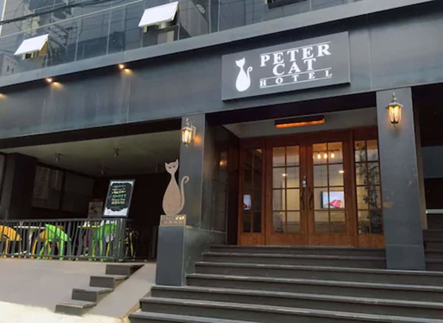 Petercat Hotel Sinchon Hongdae, Seoul, South Korea