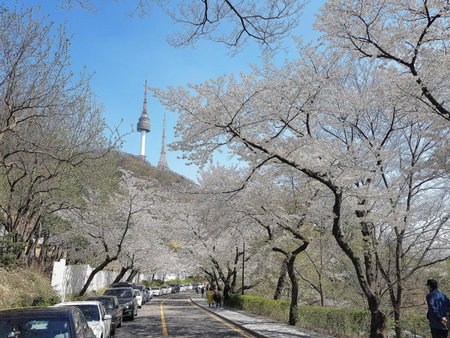 Namsan Guesthouse, Seoul, South Korea