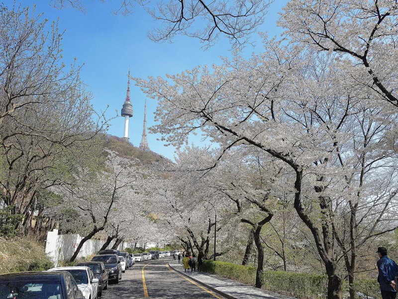 Namsan Guesthouse, Seoul, South Korea