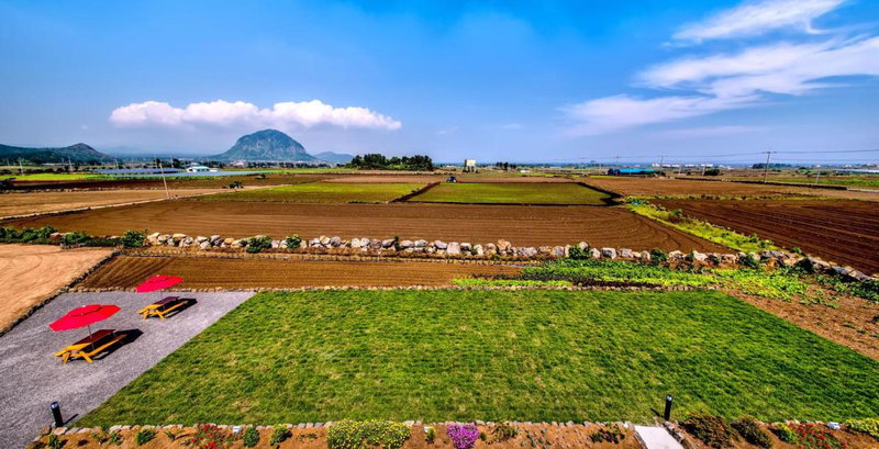 Boreum Pension, Seogwipo, South Korea