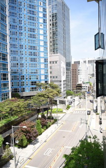 Namsan Forest in Myeongdong, Seoul, South Korea