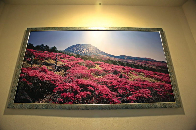 Champion Hotel, Jeju City, 대한민국