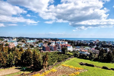 Jungmoon City Hotel & J-hill Hotel, Seogwipo, Южная Корея