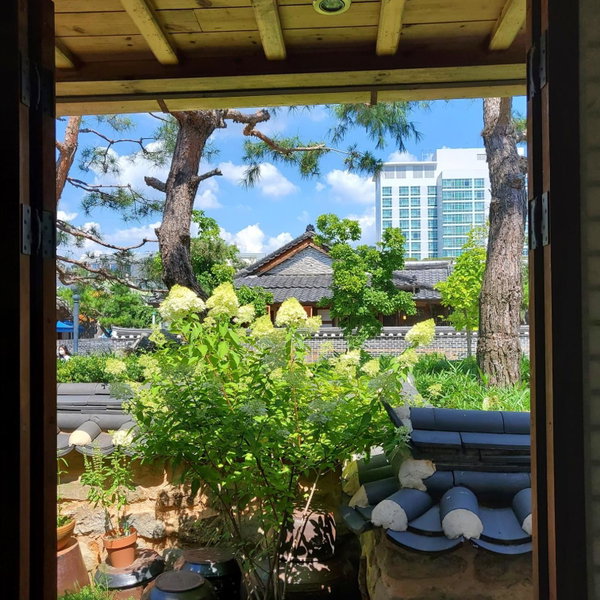 Sungsim Hanok Guesthouse, Jeonju, South Korea