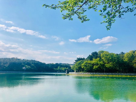 Hotel Avenue, Changwon, South Korea