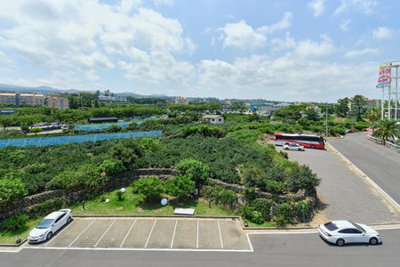 Shin Shin Hotel Jeju City, Jeju City, South Korea