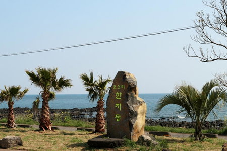 Blue Island Guesthouse, Seogwipo, South Korea