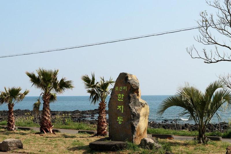 Blue Island Guesthouse, Seogwipo, South Korea