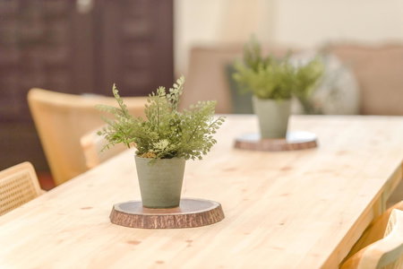 Pet Friendly Bear Station Smart Stay, Taitung City, Taiwan