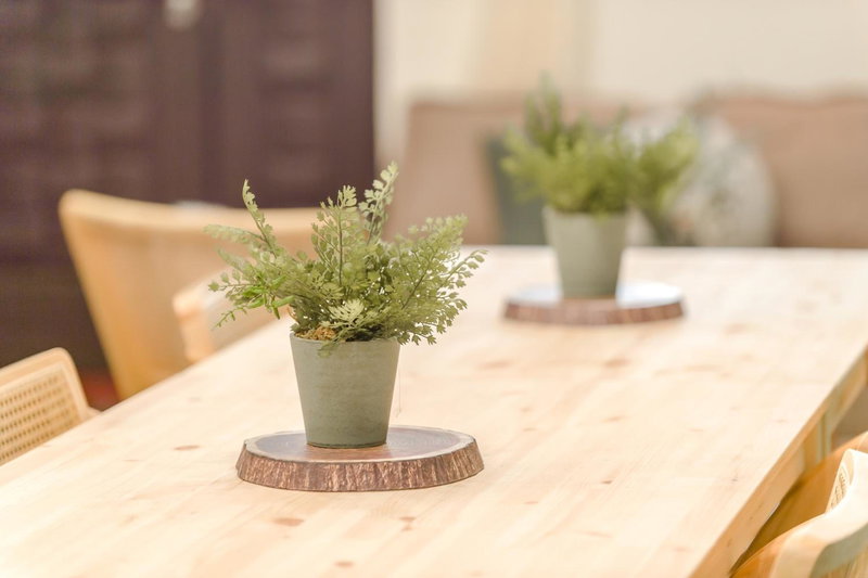 Pet Friendly Bear Station Smart Stay, Taitung City, Taiwan