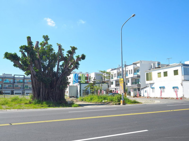 Love and Peace B&B, Taitung City, Taiwan