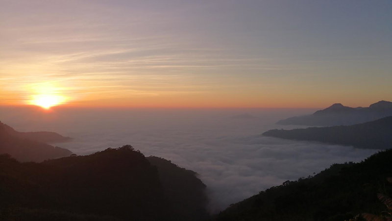 Alishan Tea Homestay, Leye, Taiwan
