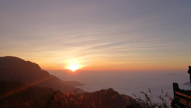 Alishan Tea Homestay, Leye, Taiwan