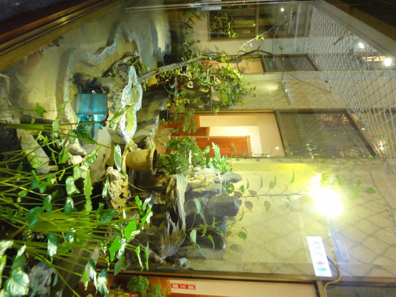 Hua Yue Hotel, Taoyuan City, Taiwan