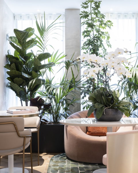 Hotel Parisianer, Paris, France
