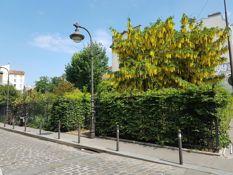 Hôtel Moulin Vert, Montrouge, France