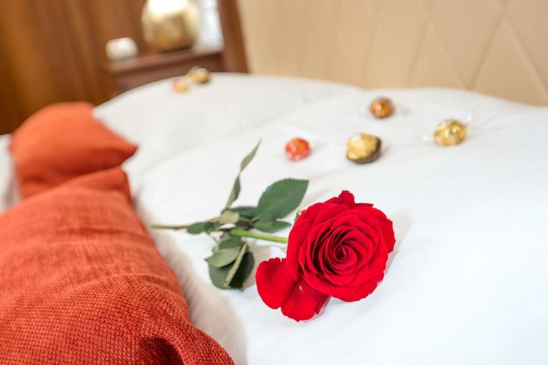 Hotel & Restoran Dvorac Gjalski, Zapresic, Croatia