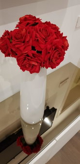 Citylux Apartments, Centar, Croatia