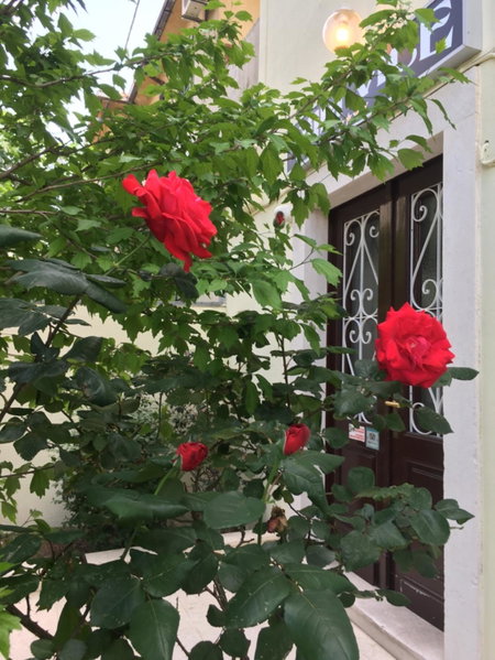 Guesthouse Villa Vice, Split, Croatia