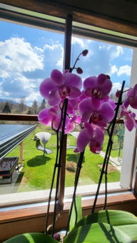 Plitvice Inn, Jezerce, Croatia