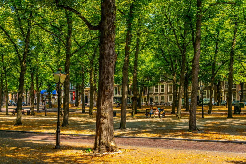 ARQ Paleis Hotel, The Hague, The Netherlands