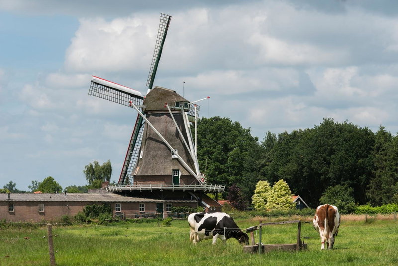 Landgoedhotel Woodbrooke Barchem, Eibergen, The Netherlands