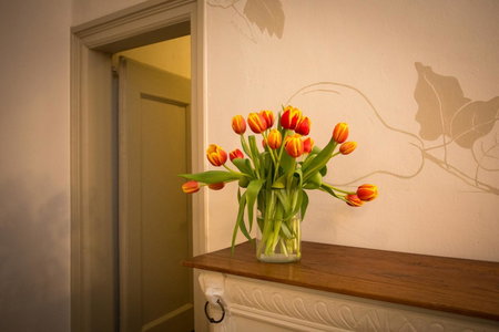 Bed & Breakfast Huis Sevenaer, Zevenaar, The Netherlands