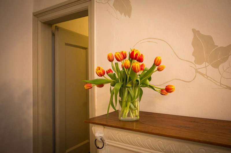Bed & Breakfast Huis Sevenaer, Zevenaar, The Netherlands